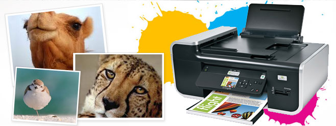 printer